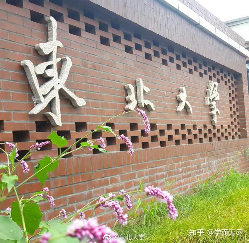 宁夏理工学院东北大学图片