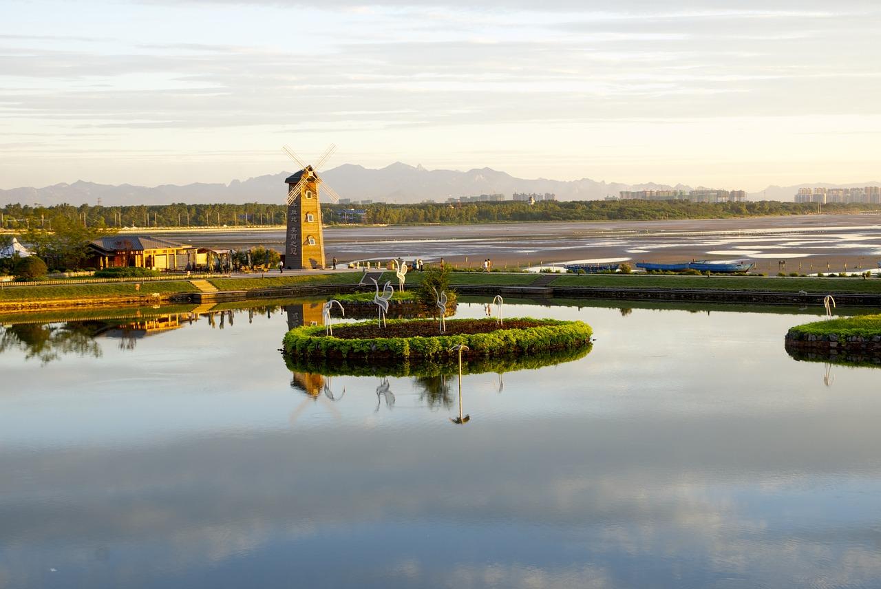 金色沙滩映阳光