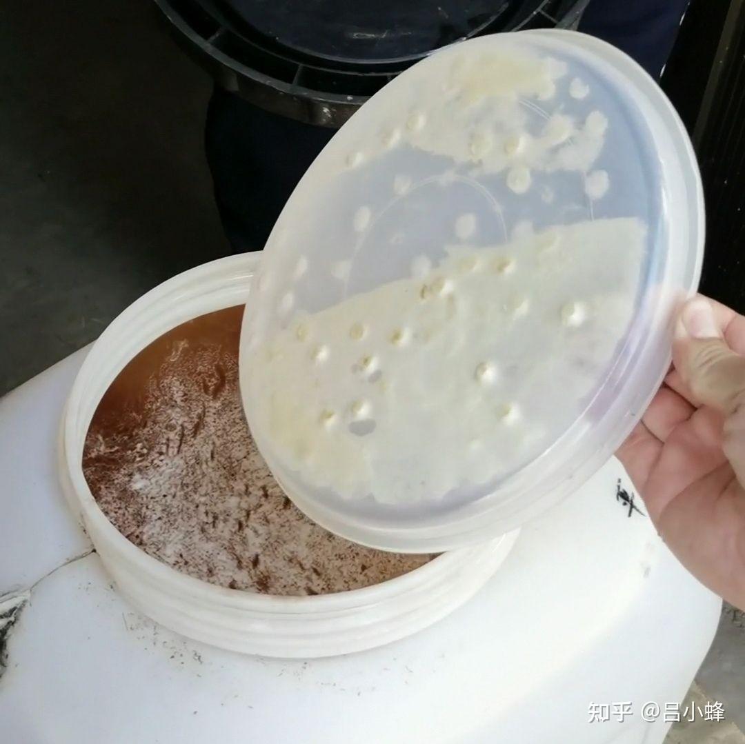 蜂蜜上面漂浮一层白沫是什么原因(蜂蜜上面飘了一层白东西是什么) 蜂蜜上面漂浮一层白沫是什么原因(蜂蜜上面飘了一层白东西是什么)