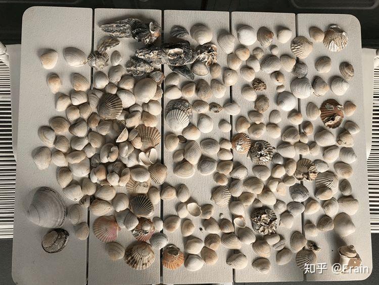 在北戴河阿那亚住是怎样的体验?-北戴河阿那亚门票多少钱