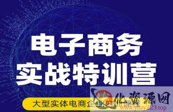 民赛电气内部出品：电子商务实战特训营，全方位带你入门电商，308种方式玩转电商插图