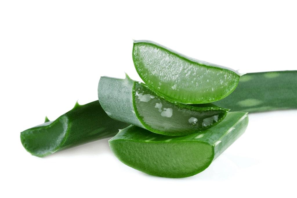 Aloe Vera for remove tartar