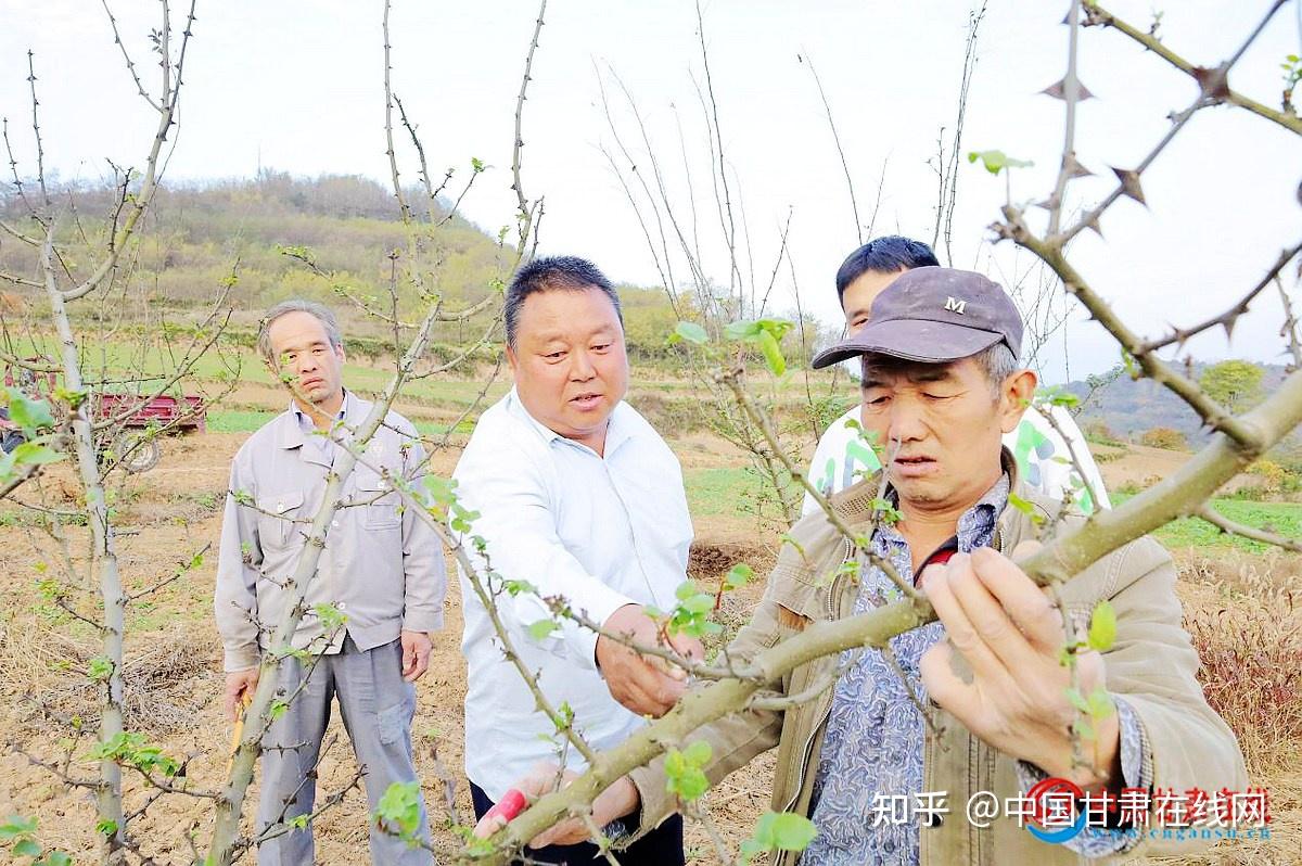 农村种植怎样发家致富(农村种植一般怎么找销路的)
