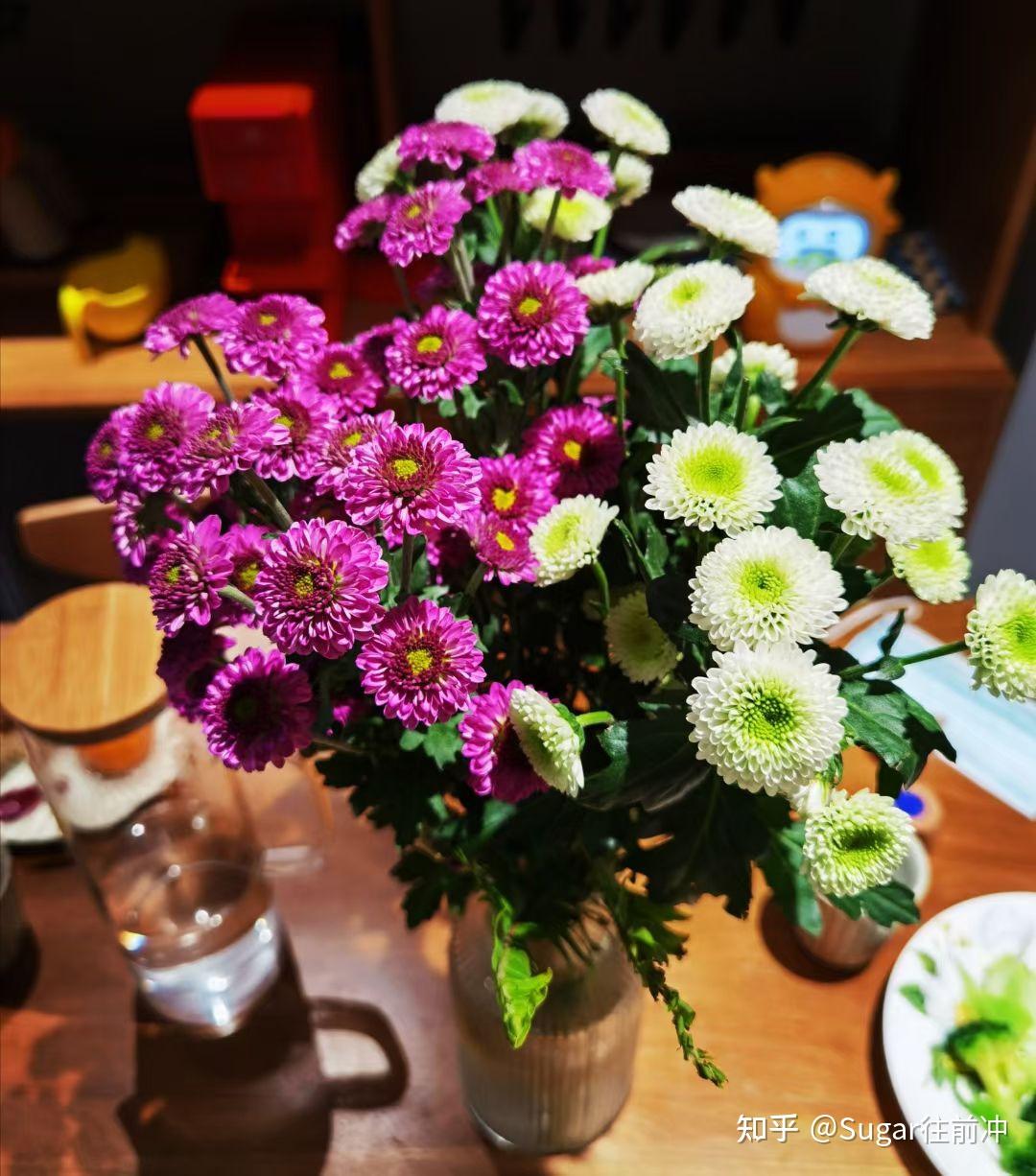 作为一个普通人,如何在平淡生活中发现细微美好之处? - 知乎