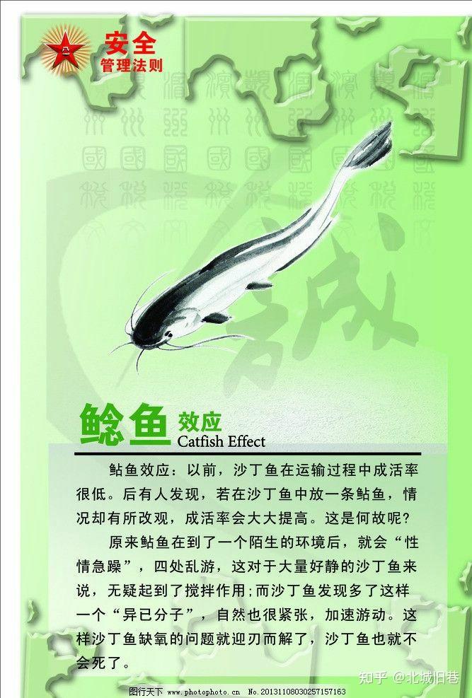 游戏圈的「鲶鱼效应」,对于玩家来说究竟是好事还是坏事?