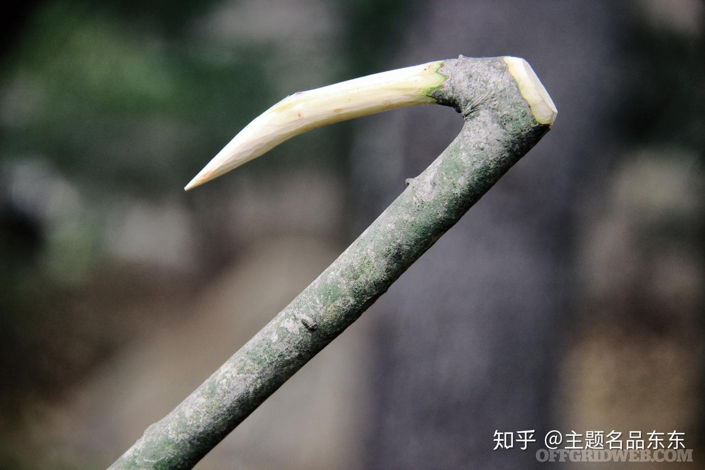 六种不同类型的长矛?手作长矛也可带来安全感! - 知乎
