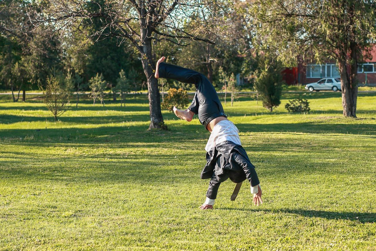 3. 城市绿肺之选