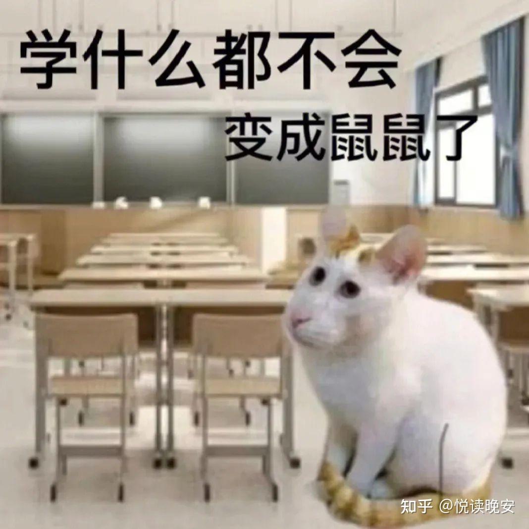 有什么好用的meme梗图和表情包搜索引擎或网站? - 知乎