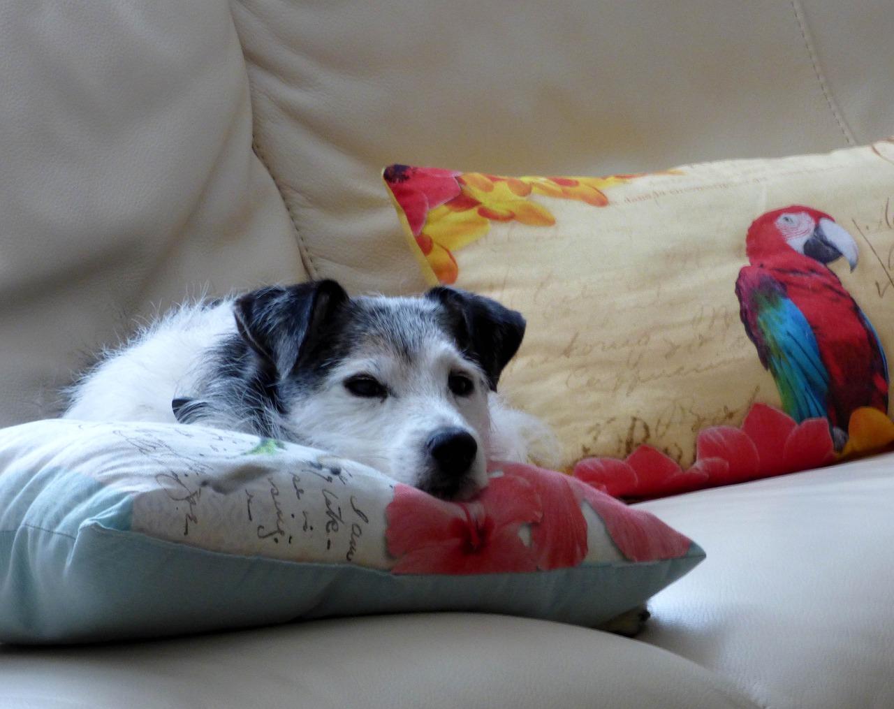 垫层起到什么作用是什么