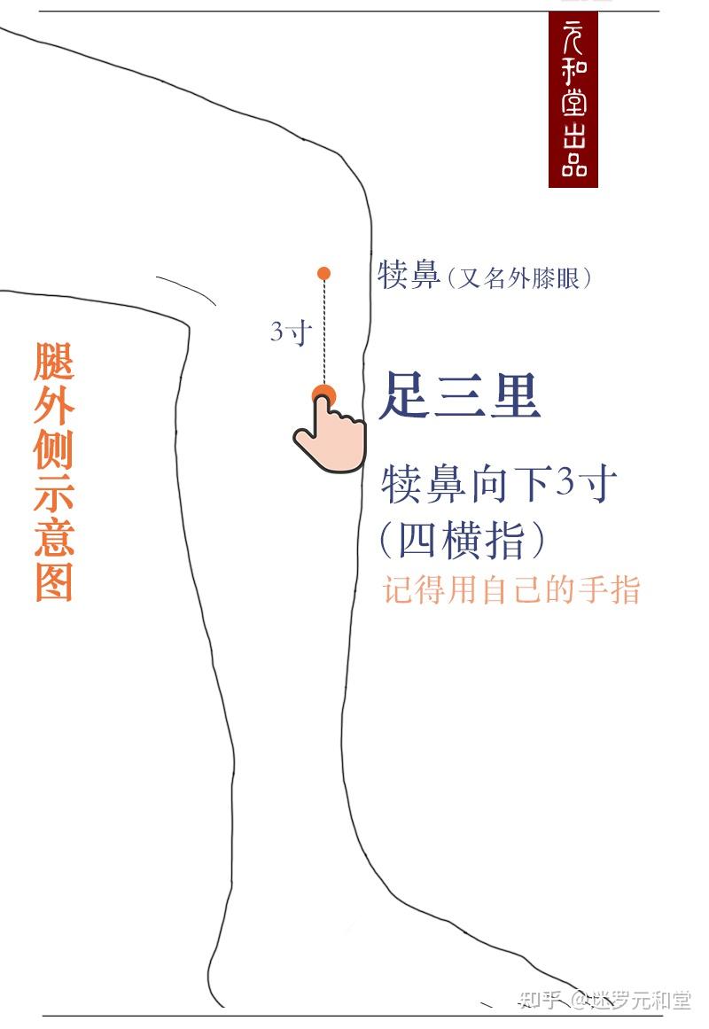脾虚肾虚要怎么调理? - 知乎