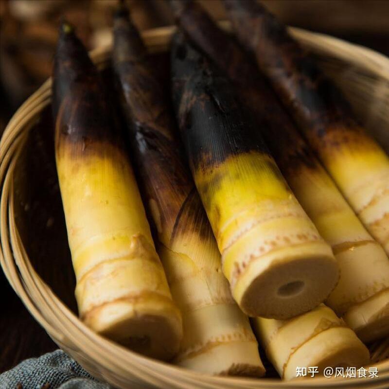 全国有多少种“笋”？哪个品种最好吃？今天全读懂，来，涨知识了 - 知乎