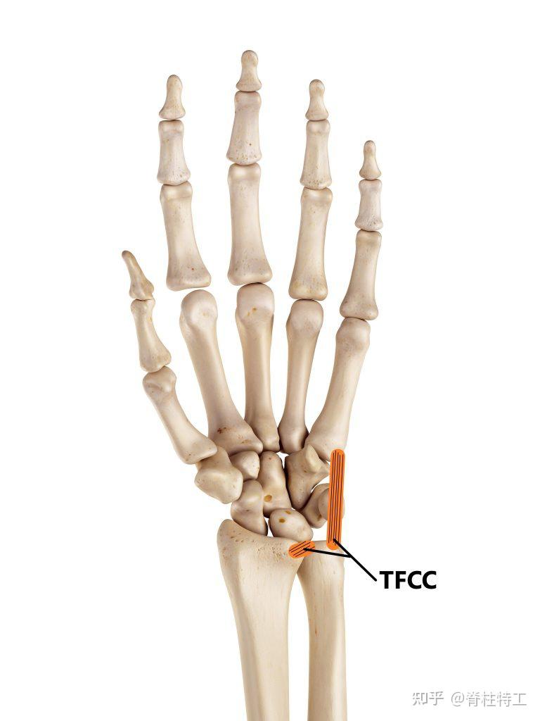 tfcc tfcc