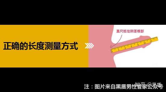 如何正确的测量丁丁长度? - 知乎
