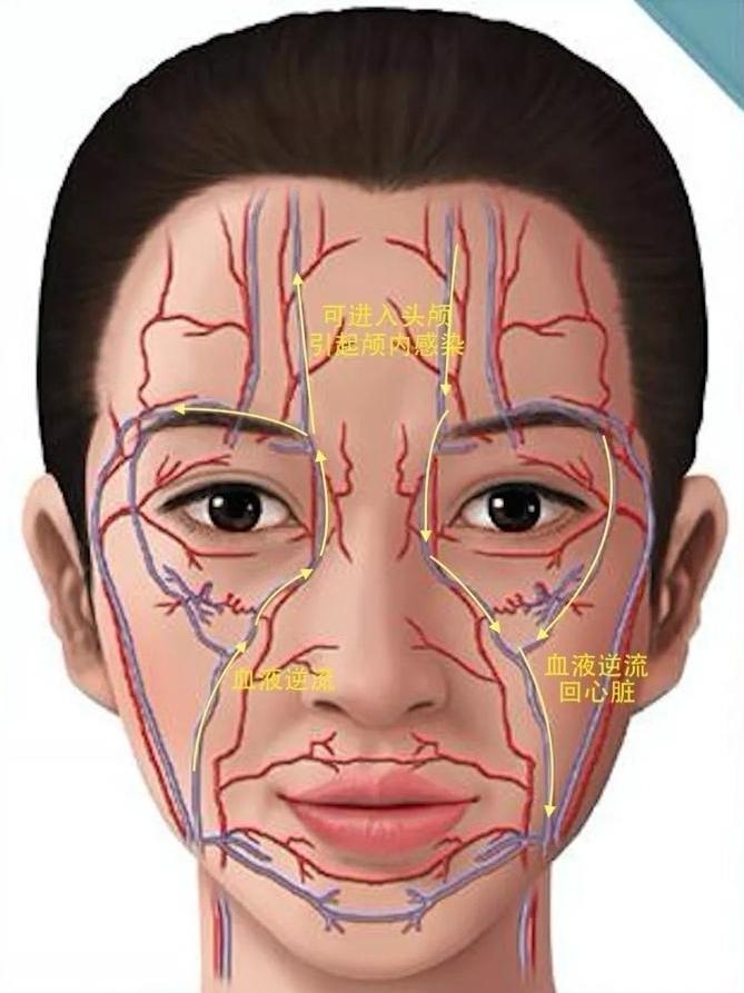 危险三角区的痘痘挤了会有酒渣鼻吗