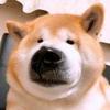 阳光大男孩