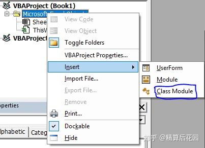 【VBA】如何利用Class module计算精算现值 - 知乎