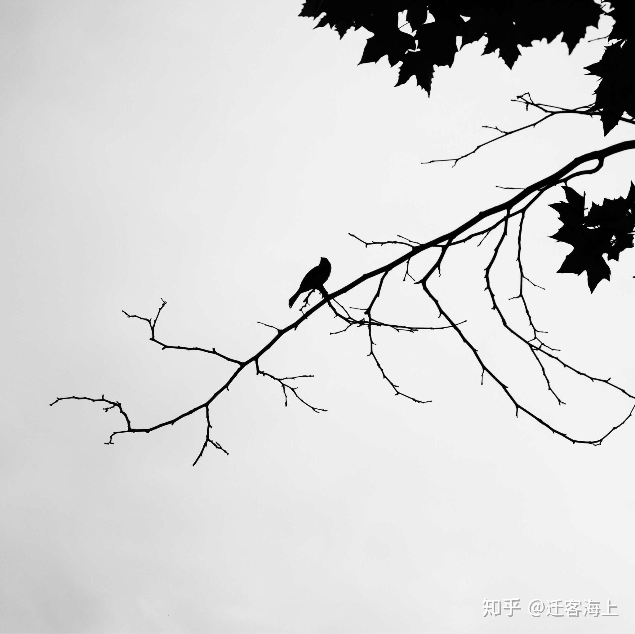 鏡頭收購