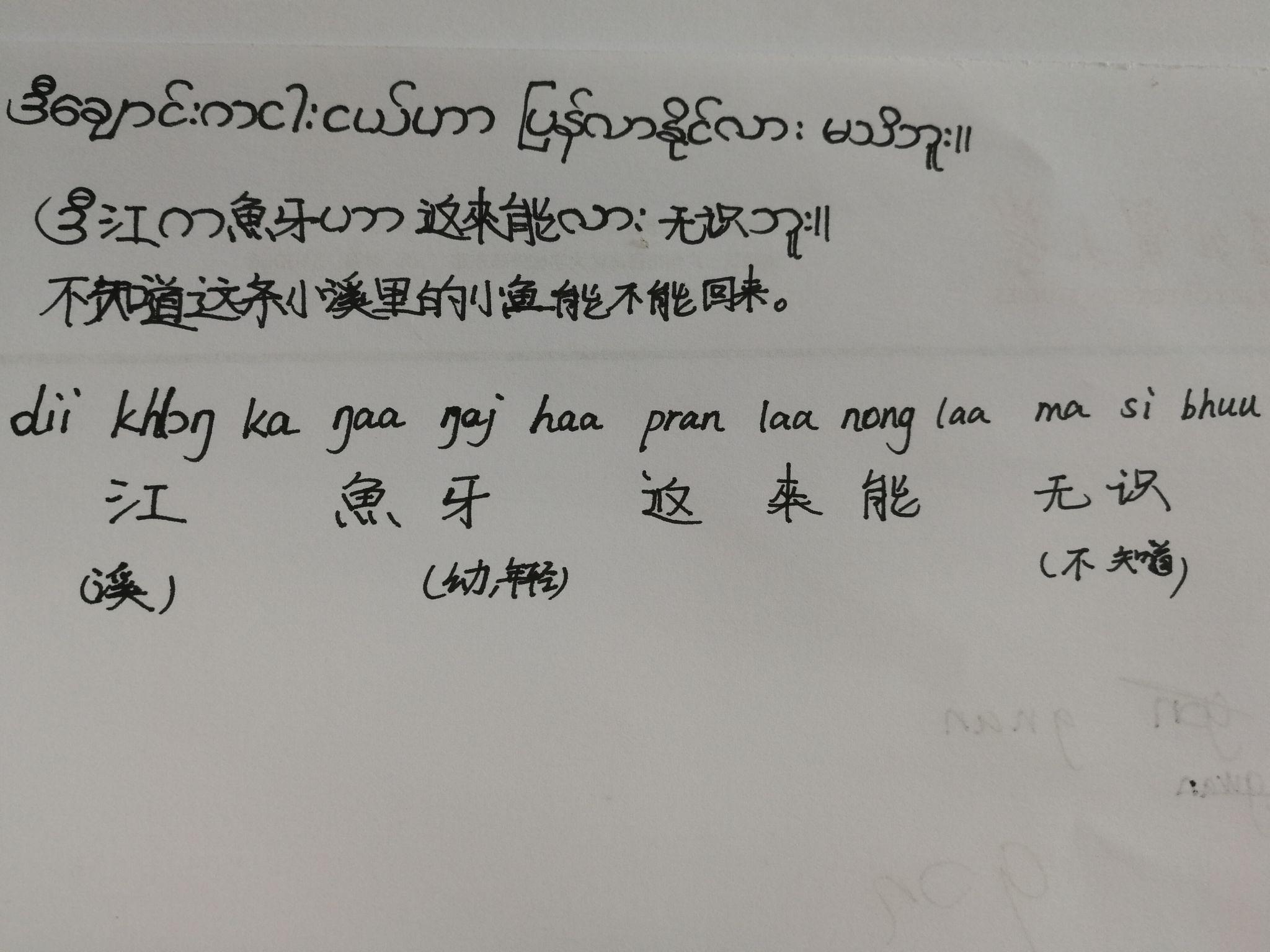 把缅彝语支语言中汉语同源词用汉字写出来会是怎样一种情况? - 知乎
