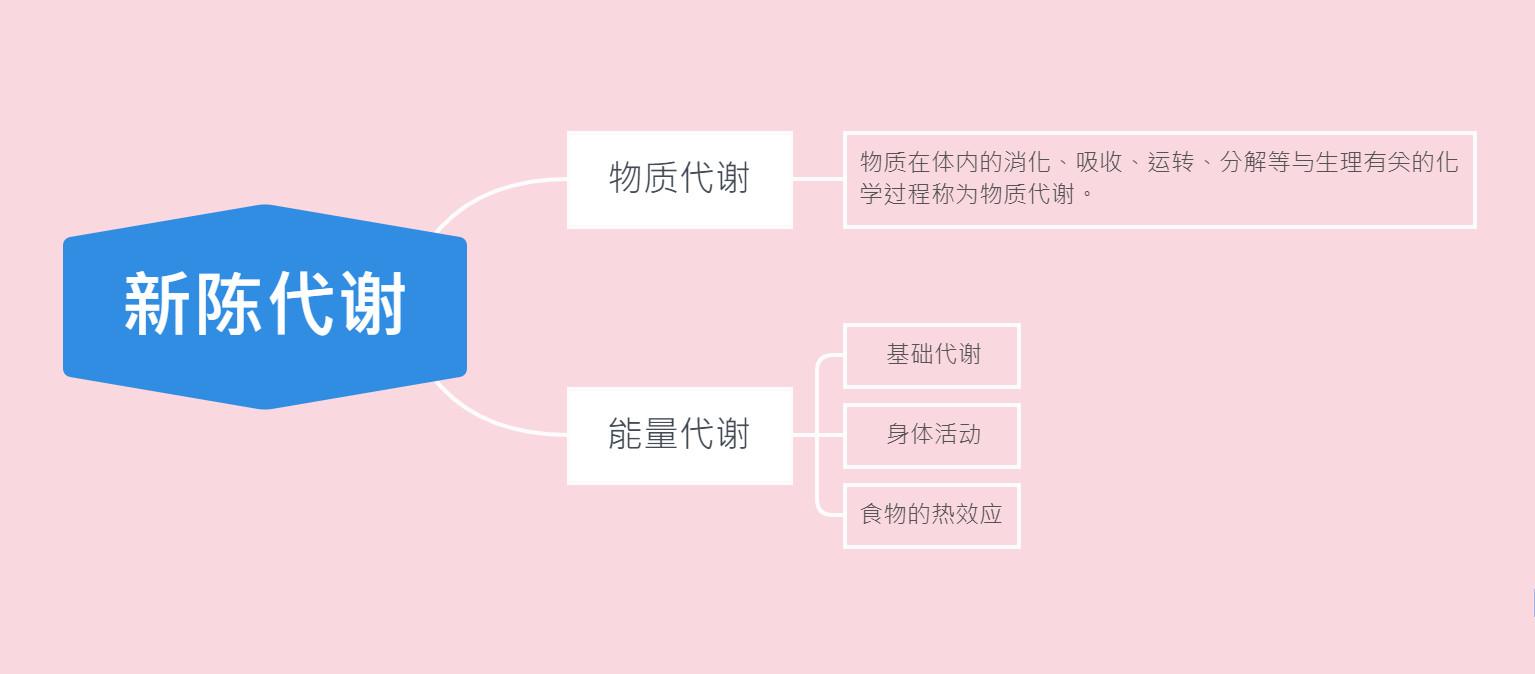 为什么随着年龄的增长新陈代谢会变慢