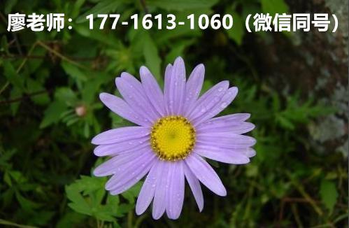 美国留学申请费用支付_美国留学申请费怎么交_美国留学生付学费