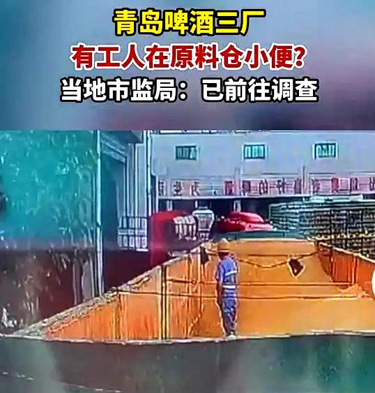 网爆青岛啤酒三厂工人在原料仓小便?当地市场监管局迅速介入调查