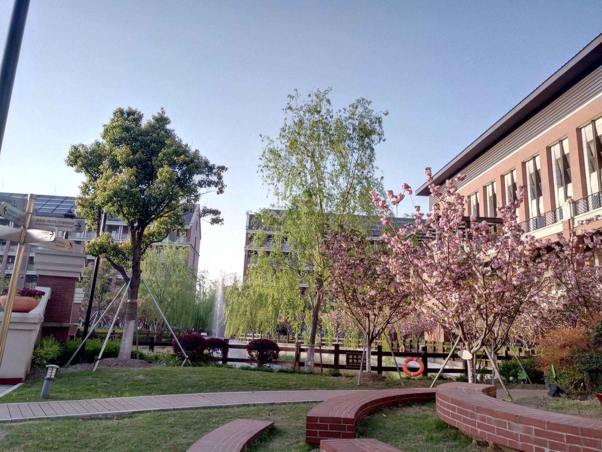 在上海市格致中学奉贤校区就读是一种怎样的体验? - 知乎