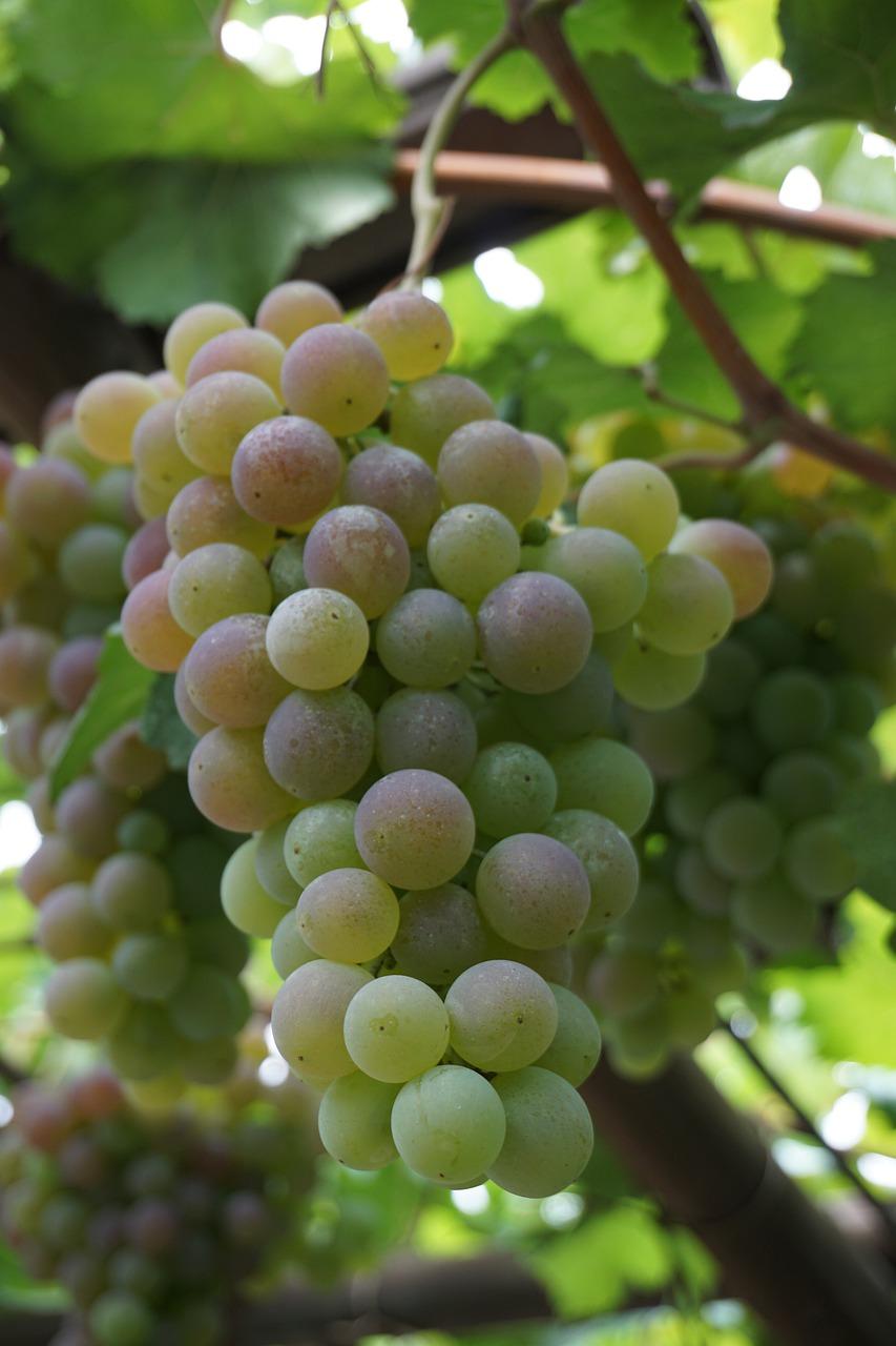 别墅庭院设计要点