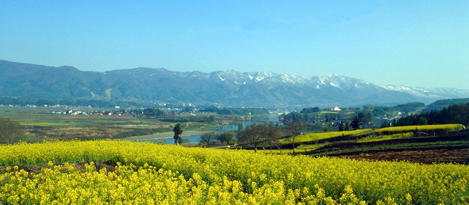 致青春 12岁 25岁の英語水平 那些年 兴趣带我飞了多远 知乎