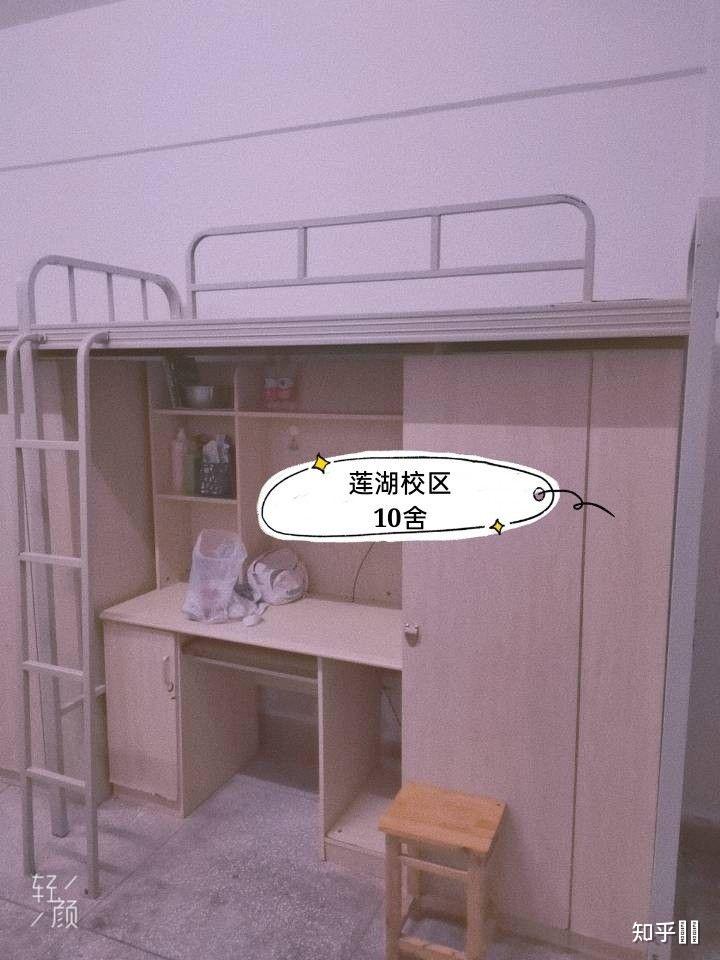 中电熊猫宿舍图片