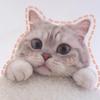 user-profile-image