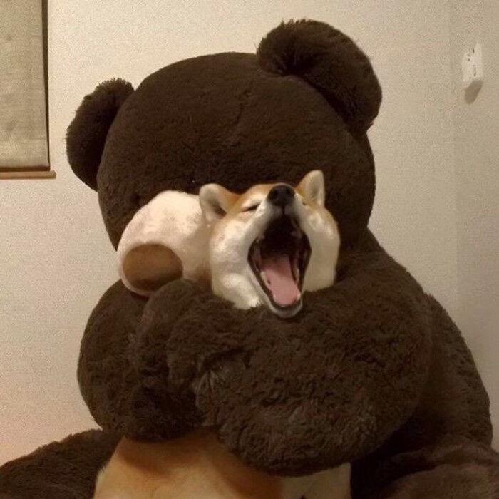 有没有非常非常不明显的情侣头像,特别不明显的情头?