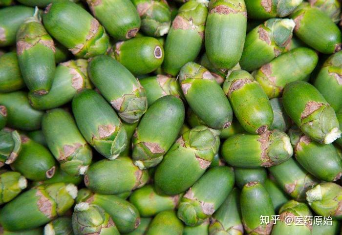 带你识别槟榔 - 知乎