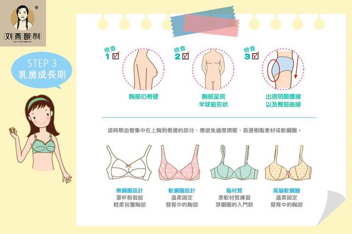 刘燕酿制:女人乳房发育全过程是怎样的