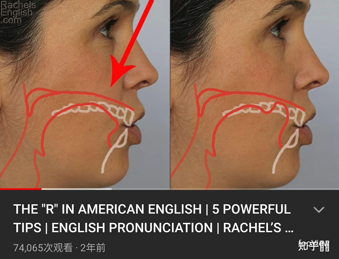 英语音标 /r/ 到底如何发?以前我觉得卷舌就完事,看了 Rachel 的视频后,发现是舌头中部抬起? - 知乎