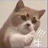 user-profile-image