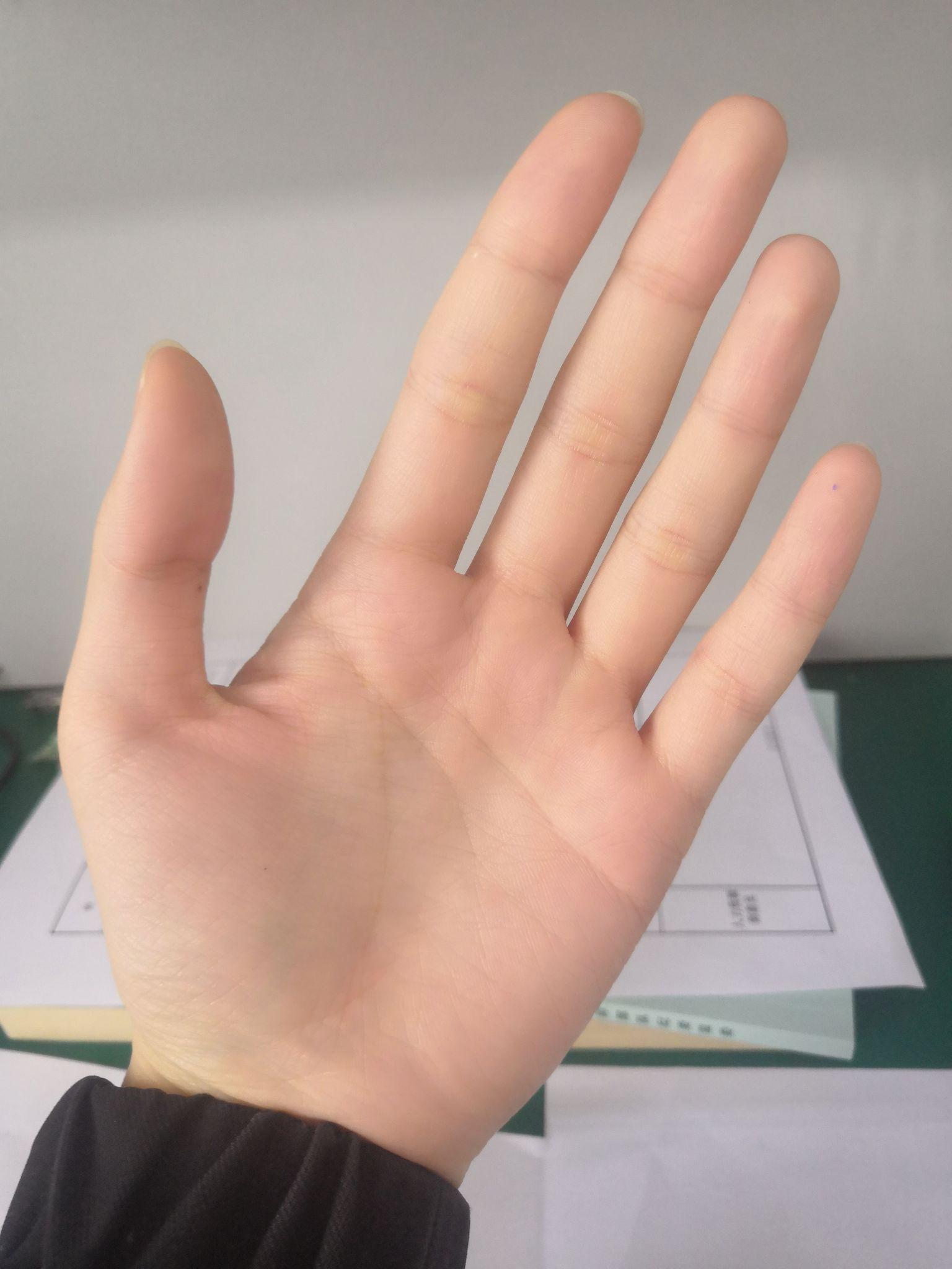 食指与无名指长度的长短比较说明胚胎时期受睾丸酮的影响大小它能表征