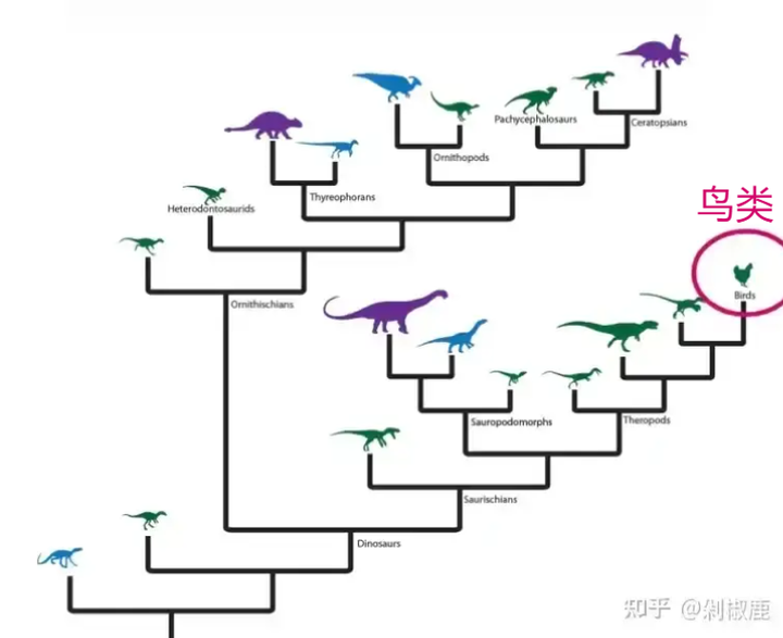 一只霸王龙穿越到现在的非洲大草原会发生什么？