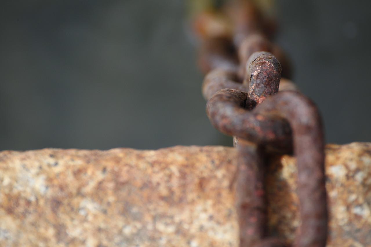 5. 力克市场口碑