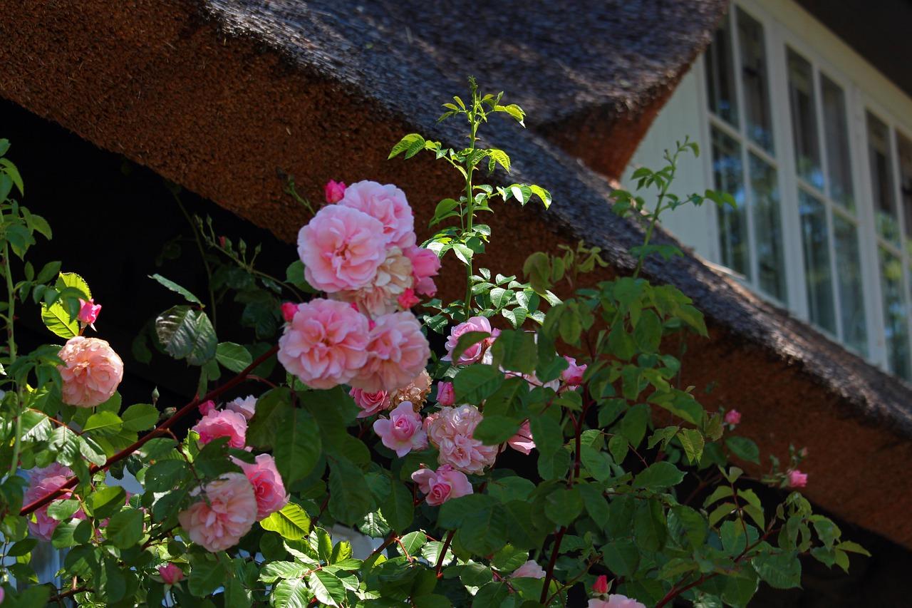 上海吴家花园在哪里