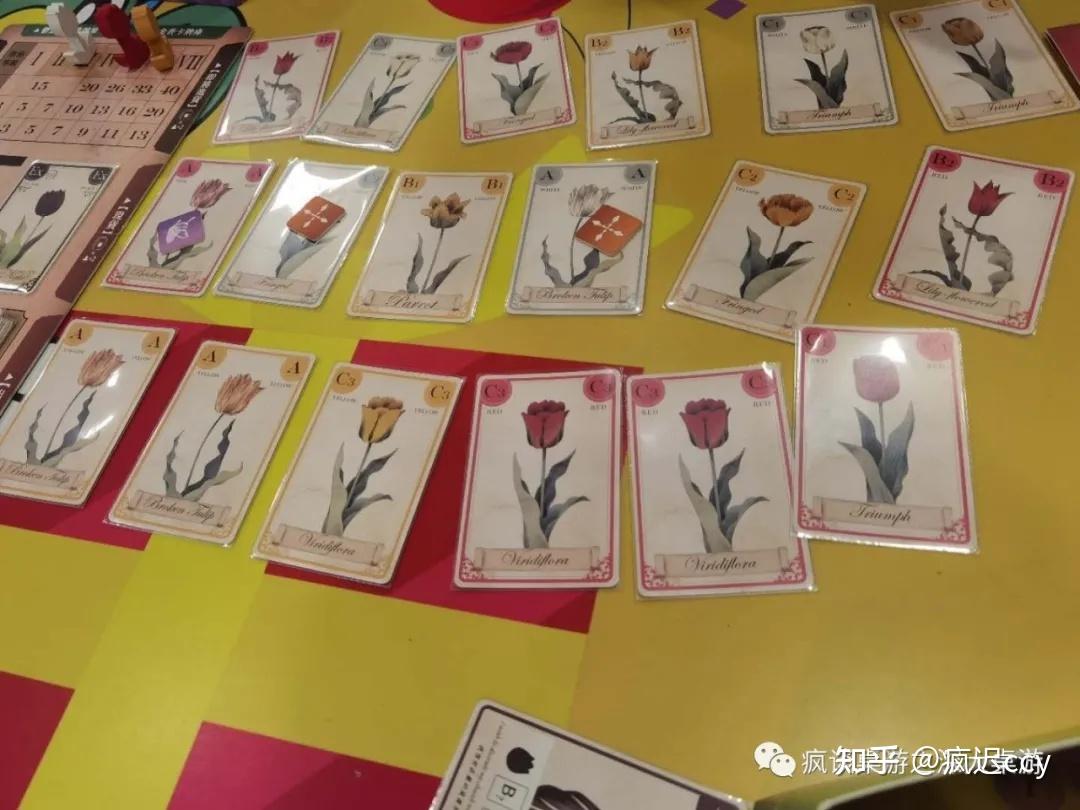 十七世纪荷兰郁金香泡沫事件与同名桌游《郁金香泡沫》 - 知乎