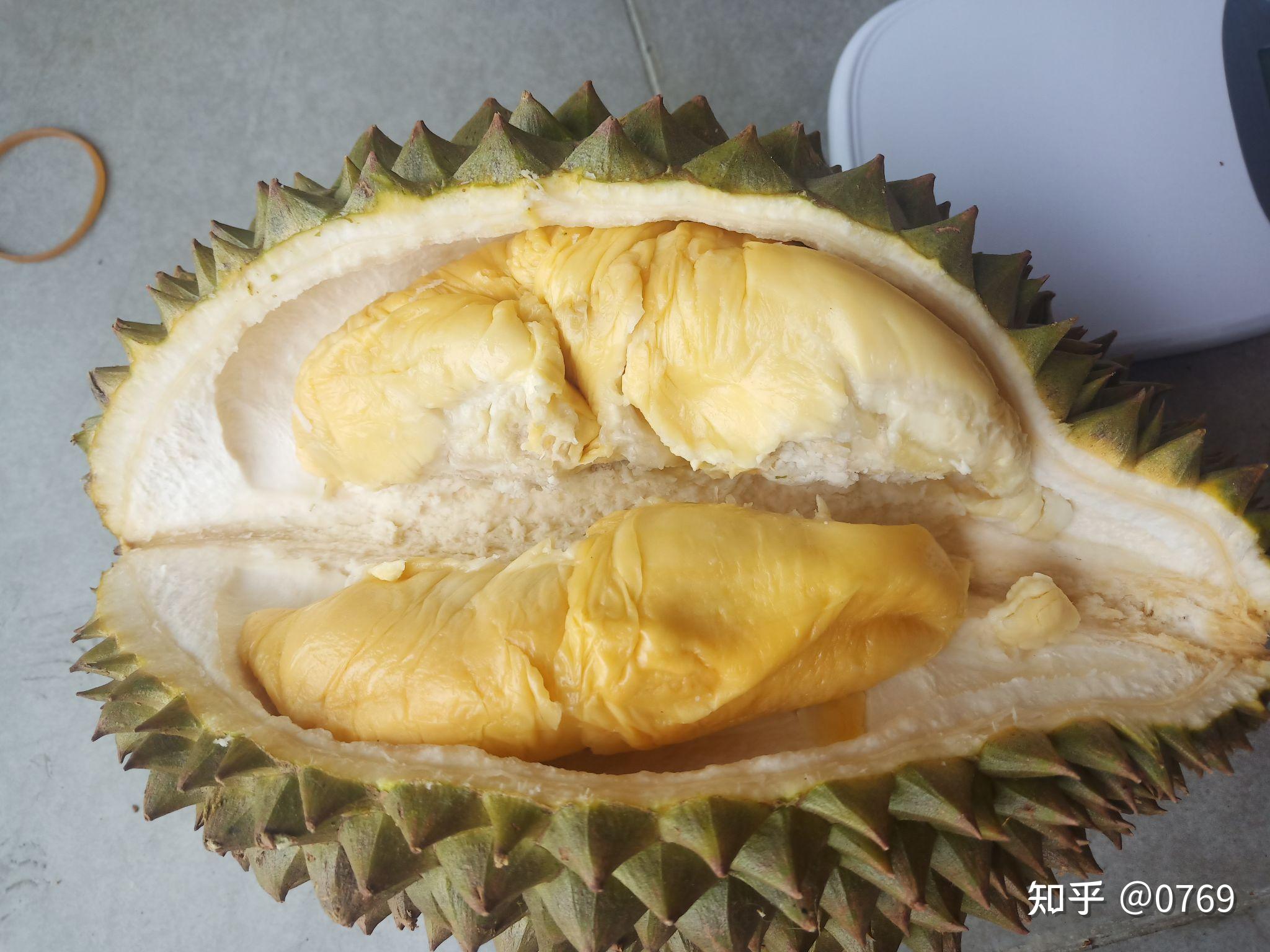 查曼尼榴莲是什么榴莲