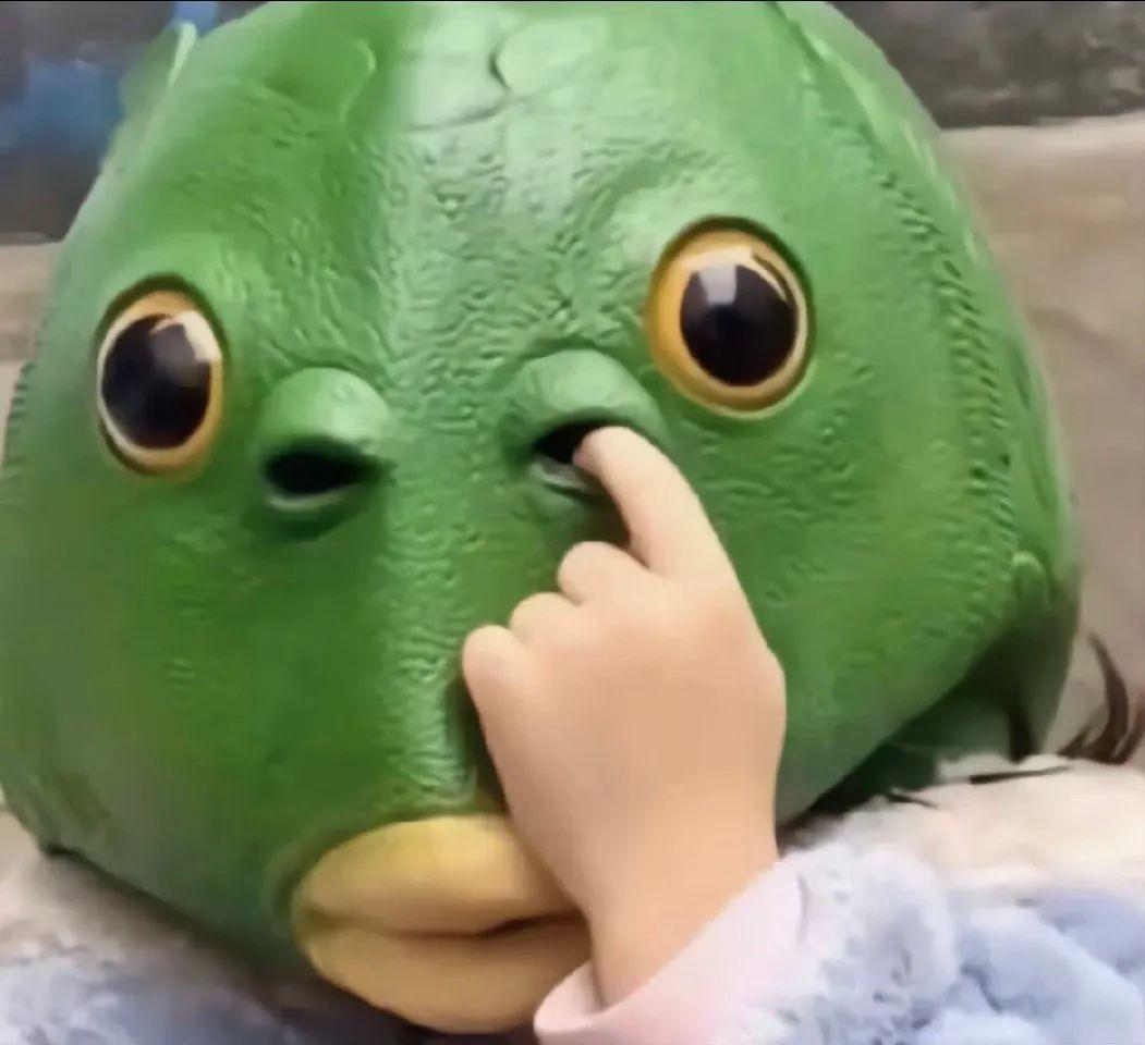 友友们,有没有发疯发癫的表情包?