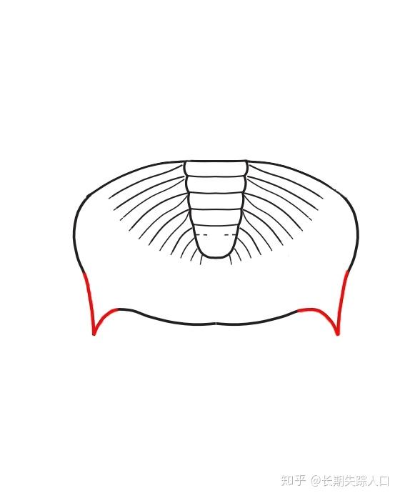 什么是「三叶虫」? - 知乎