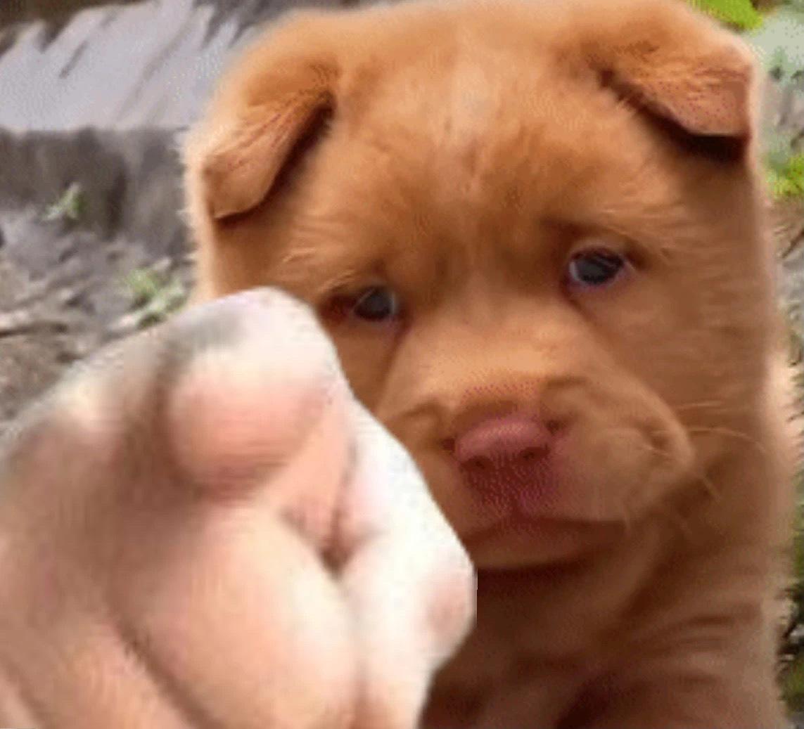 有哪些让人笑到喷饭的短句文案? - 知乎