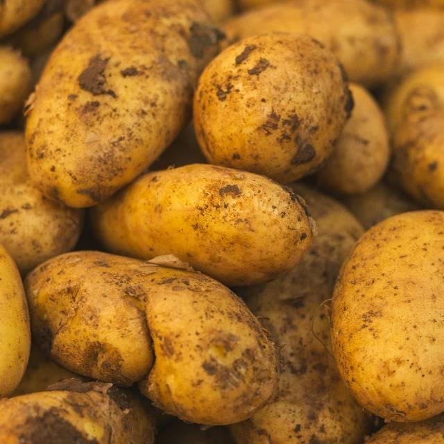 欧美有哪些传统食物可以反映历史上人民生活的艰难时期？