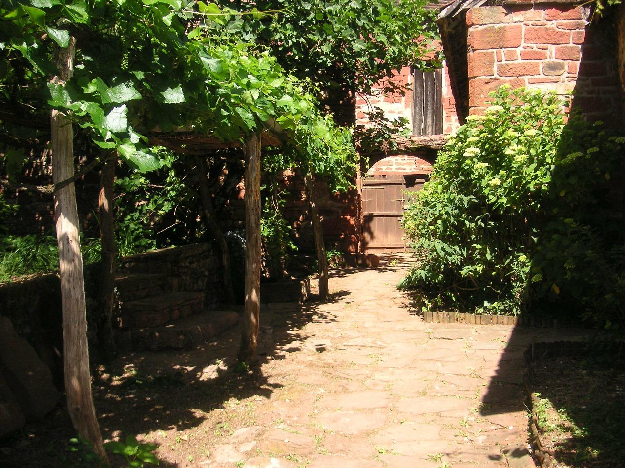 榕叶飘香的夏日