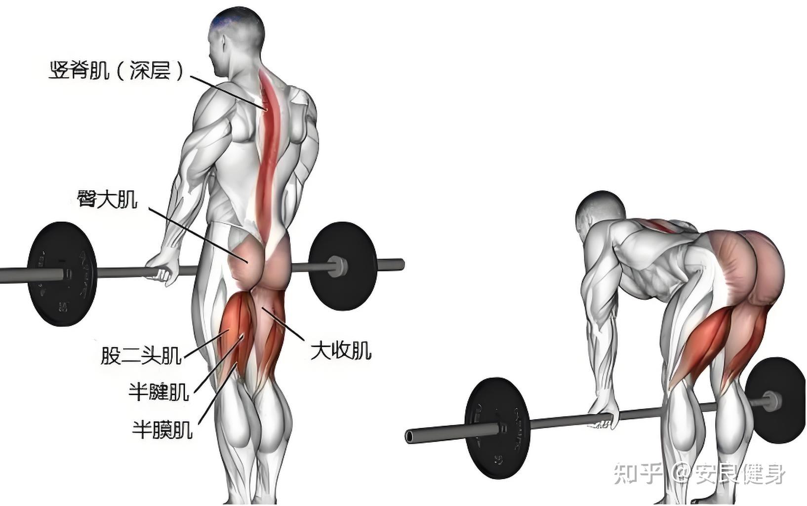俯卧撑仰卧起坐可以吗?