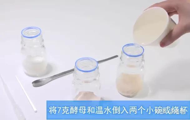 【Motic微观实验教程】酵母菌观察 - 知乎