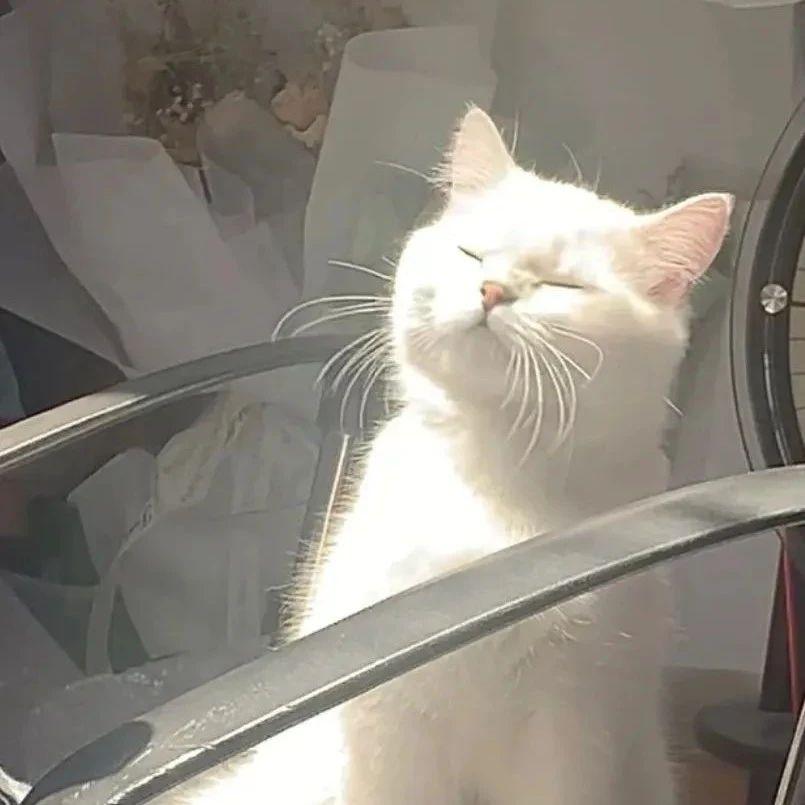 来一组高清无水印的ins风格壁纸 - 知乎