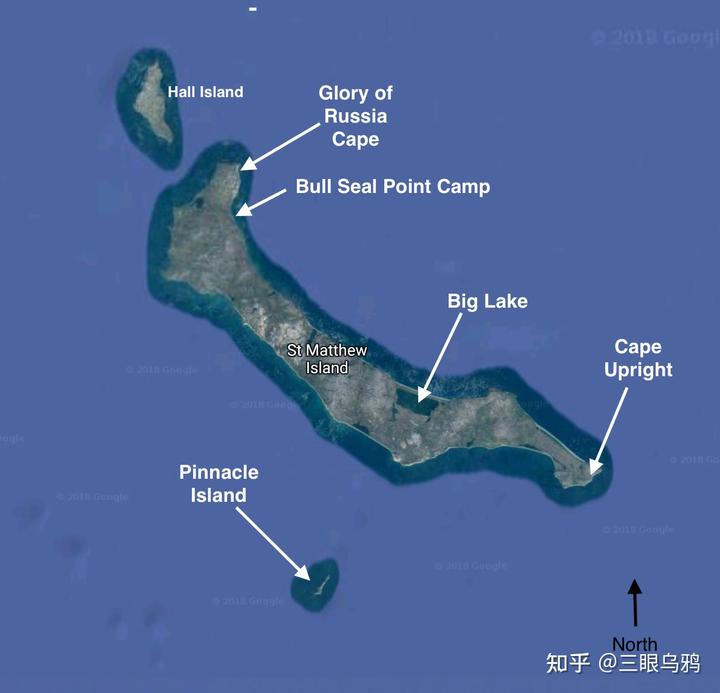 如果将 20 只狼和 500 只鹿放进同一孤岛，最后谁能活下来？